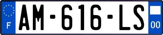 AM-616-LS