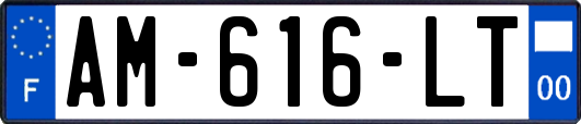 AM-616-LT