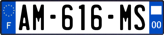 AM-616-MS