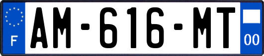 AM-616-MT