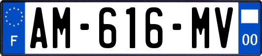 AM-616-MV