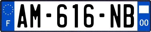 AM-616-NB