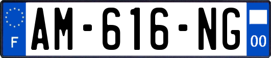 AM-616-NG