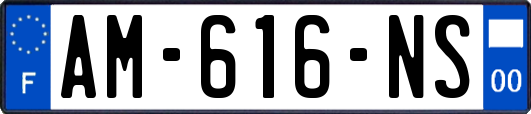 AM-616-NS