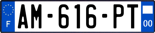 AM-616-PT