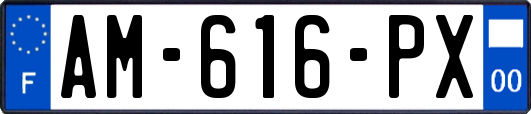 AM-616-PX