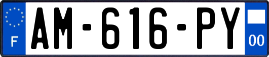 AM-616-PY