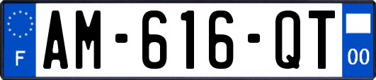 AM-616-QT