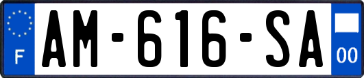AM-616-SA
