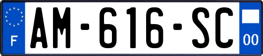 AM-616-SC