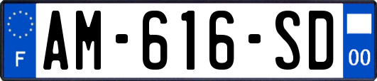 AM-616-SD