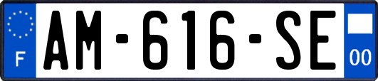 AM-616-SE