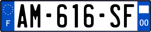 AM-616-SF