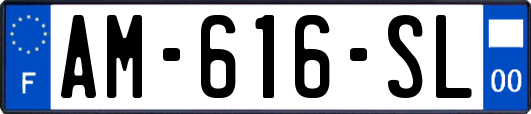AM-616-SL