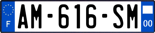 AM-616-SM