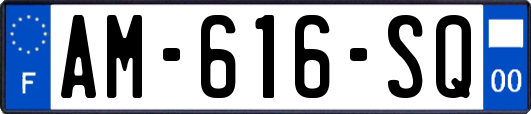 AM-616-SQ