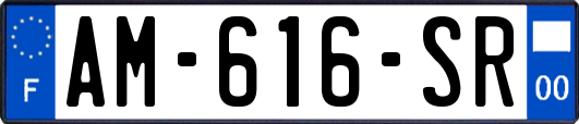 AM-616-SR