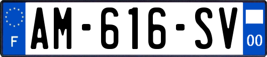 AM-616-SV