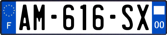 AM-616-SX