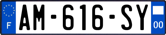 AM-616-SY