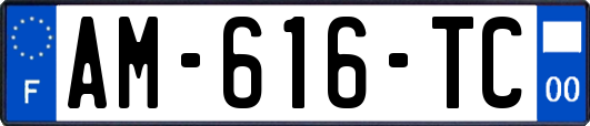 AM-616-TC