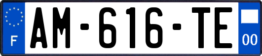 AM-616-TE