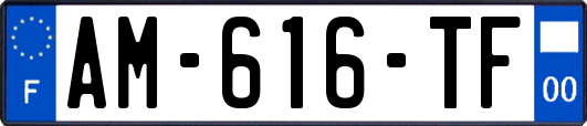 AM-616-TF