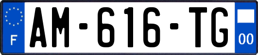 AM-616-TG
