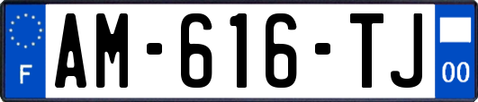 AM-616-TJ