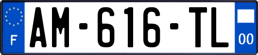 AM-616-TL