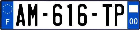 AM-616-TP