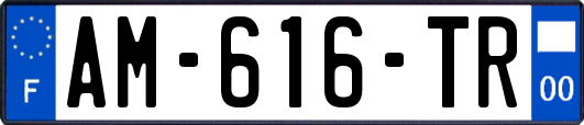 AM-616-TR