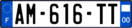 AM-616-TT