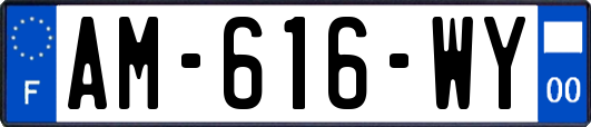 AM-616-WY