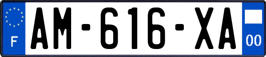 AM-616-XA