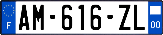 AM-616-ZL