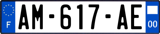 AM-617-AE