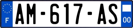 AM-617-AS