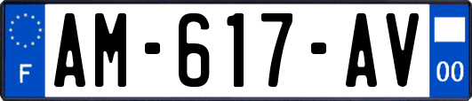 AM-617-AV