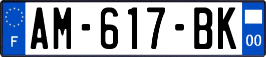 AM-617-BK
