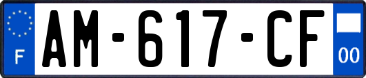 AM-617-CF