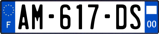 AM-617-DS