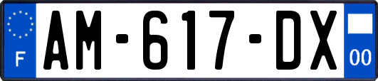 AM-617-DX