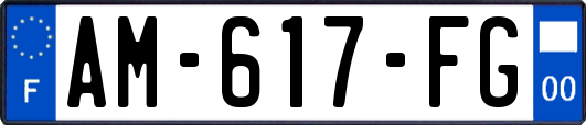 AM-617-FG