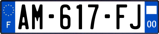 AM-617-FJ