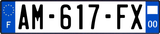 AM-617-FX