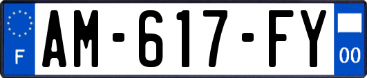 AM-617-FY