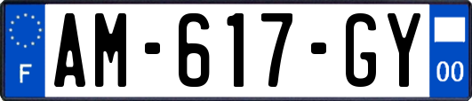 AM-617-GY