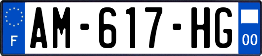 AM-617-HG