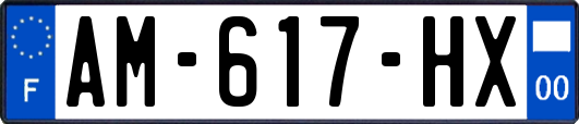 AM-617-HX